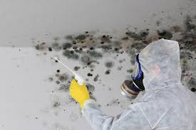 Best HVAC Mold Inspection and Cleaning  in Frazier Park, CA